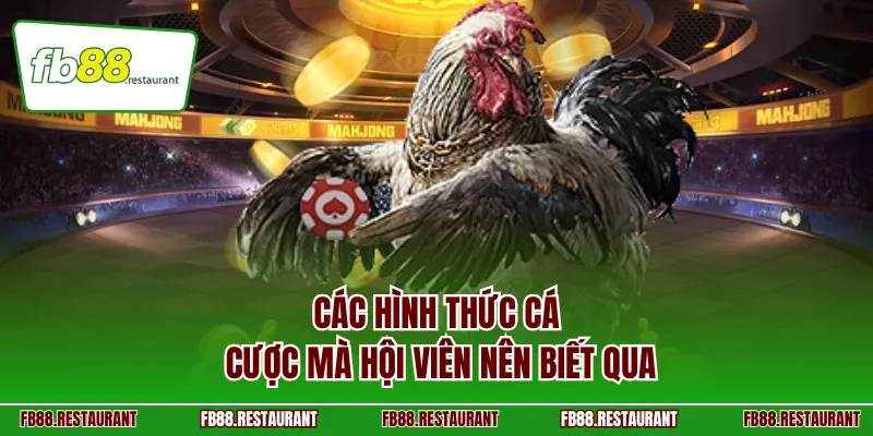 Các hình thức cá cược mà hội viên nên biết qua