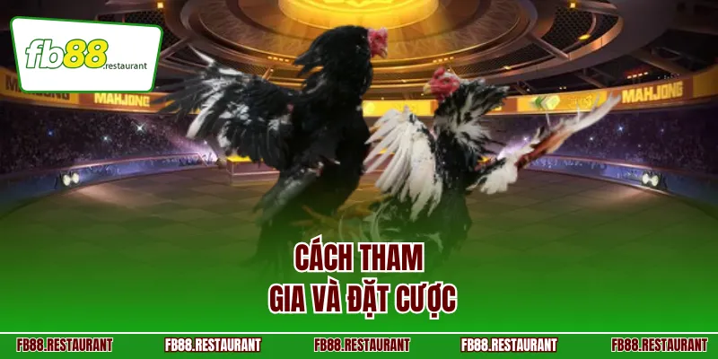 Cách tham gia và đặt cược