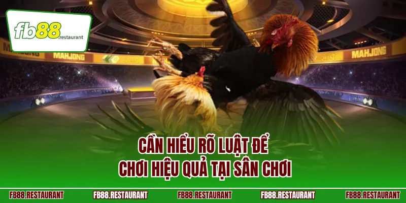 Cần hiểu rõ luật để chơi hiệu quả tại sân chơi