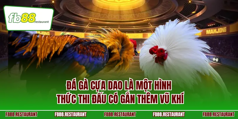 Đá gà cựa dao là một hình thức thi đấu có gắn thêm vũ khí