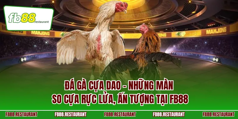 đá gà cựa dao