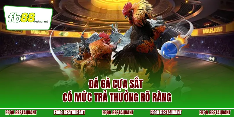 Đá gà cựa sắt có mức trả thưởng rõ ràng