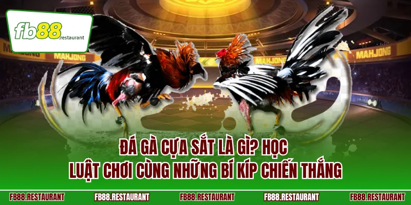 Đá gà cựa sắt