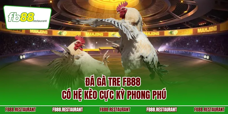 Đá gà tre FB88 có hệ kèo cực kỳ phong phú