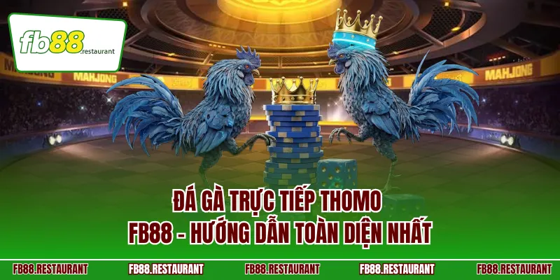 Đá gà trực tiếp Thomo