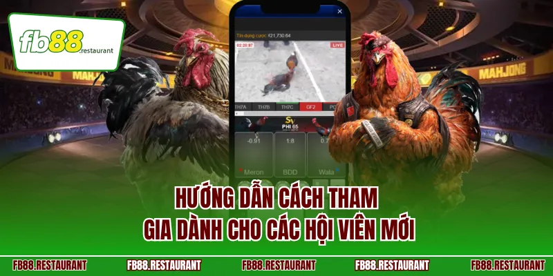 Hướng dẫn cách tham gia dành cho các hội viên mới