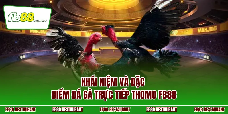 Khái niệm và đặc điểm đá gà trực tiếp Thomo FB88