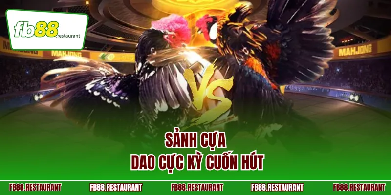 Sảnh cựa dao cực kỳ cuốn hút