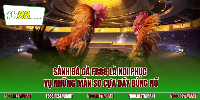Sảnh đá gà FB88 là nơi phục vụ những màn so cựa đầy bùng nổ