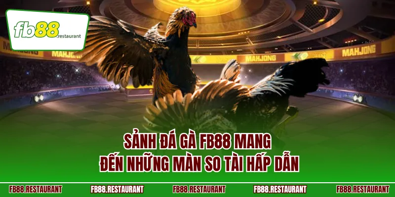 Sảnh đá gà FB88 mang đến những màn so tài hấp dẫn