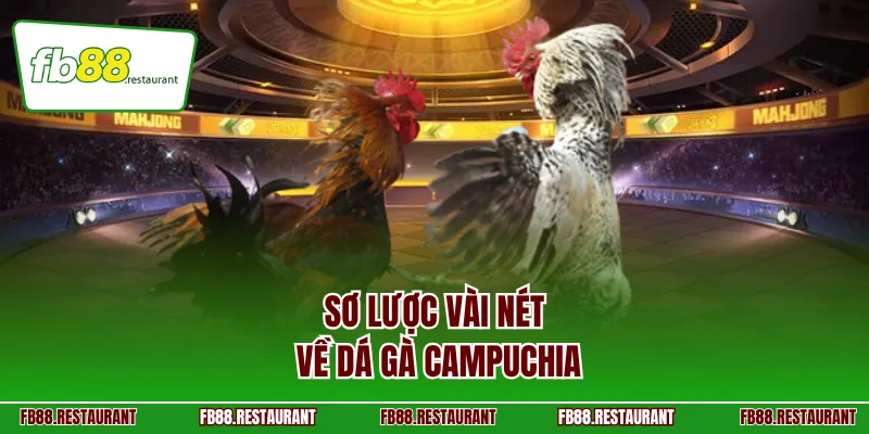 Sơ lược vài nét về dá gà Campuchia