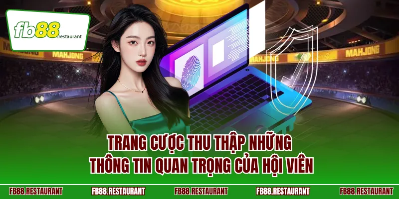 Trang cược thu thập những thông tin quan trọng của hội viên